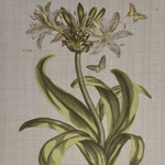 ZUN 4-piece Botanical Illustration Framed Canvas Wall Art Set B03599414