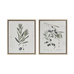 ZUN Botanical Illustration 2-piece Framed Canvas Wall Art Set B03598861