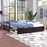 ZUN Wooden Daybed with Trundle Bed and Two Storage Drawers , Extendable Bed Daybed,Sofa Bed for Bedroom WF194973AAP