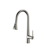 ZUN Single Handle Pull Down Sprayer Kitchen Faucet with Advanced Spray, Pull Out Spray Wand in Brushed W1626130671