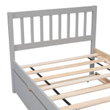 ZUN Modern Design Wooden Twin Size Platform Bed Frame with Trundle for Grey Color W697121853