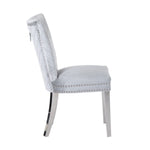 ZUN Eva 2 Piece Stainless Steel Legs Chair Finish with Velvet Fabric in Silver 733569295678