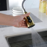 ZUN Gold Kitchen Faucets with Pull Down Sprayer, Kitchen Sink Faucet with Pull Out Sprayer,Fingerprint 93404954