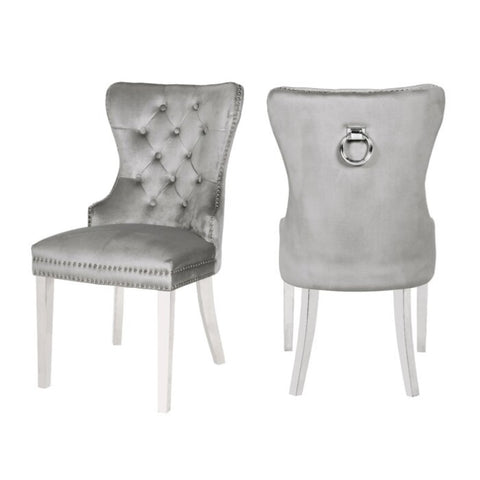 ZUN Erica 2 Piece Stainless Steel Legs Chair Finish with Velvet Fabric in Light Gray 808857825940