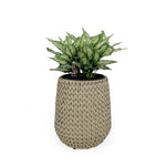 ZUN 13.4" Self-watering Wicker Planter - Garden Decoration Pot - Beige - Round B046P144669
