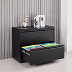 ZUN 2 Drawer Lateral Filing Cabinet for Legal/Letter A4 Size, Large Deep Drawers Locked by Keys, Locking W252110433