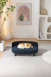 ZUN Scandinavian style Elevated Dog Bed Pet Sofa With Solid Wood legs and Bent Wood Back, Velvet W794125977