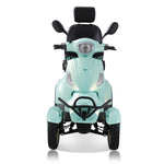 ZUN ELECTRIC MOBILITY SCOOTER WITH BIG SIZE ,HIGH POWER W1171127222