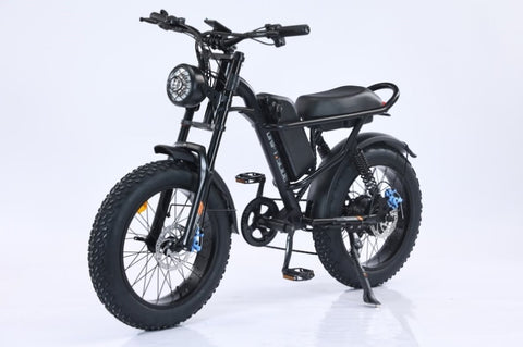 ZUN GT-MEB008 Mountain Ebike New Design 750W Electric bike Out Door With Fat Tiire Electric Mountain 30884545