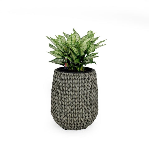 ZUN 13.4" Self-watering Wicker Planter - Garden Decoration Pot - Gray - Round B046P144670