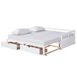 ZUN Wooden Daybed with Trundle Bed and Two Storage Drawers , Extendable Bed Daybed,Sofa Bed for Bedroom WF194973AAK