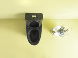 ZUN 1.1/1.6 GPF Dual Flush 1-Piece Elongated Toilet with Soft-Close Seat - Matt Black 23T02-MB W1573101062