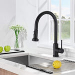 ZUN Stainless Steel Pull Down Kitchen Faucet with Sprayer Matte Black JYBB412MB
