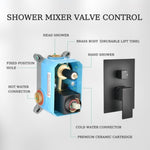 ZUN Shower Faucet Set, with Handheld Shower and Rainfall Shower Head Combination Set Wall Mounted Shower W121983505