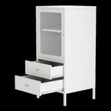 ZUN Steel Accent Storage Cabinet with 1 Doors & 2 Drawers, Free Standing Metal Storage Locker Cabinet W1730115791