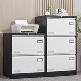ZUN 2 Drawer Metal Lateral File Cabinet with Lock,Office Vertical Files Cabinet for Home W1247118739