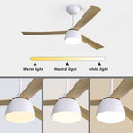 ZUN 52 Inch Indoor LED Ceiling Fan With Dimmable 6 Speed Remote Control 3 Blade Reversible DC Motor For W934106304